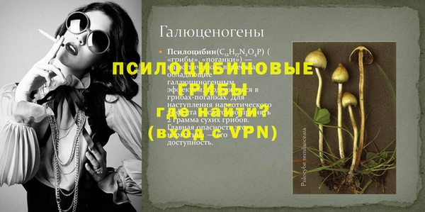 хмурый Хадыженск