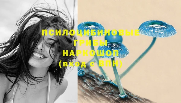 хмурый Хадыженск