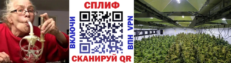 Купить где  Сланцы  Бошки марихуана индика 